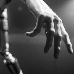 Cover of BORDERLINE