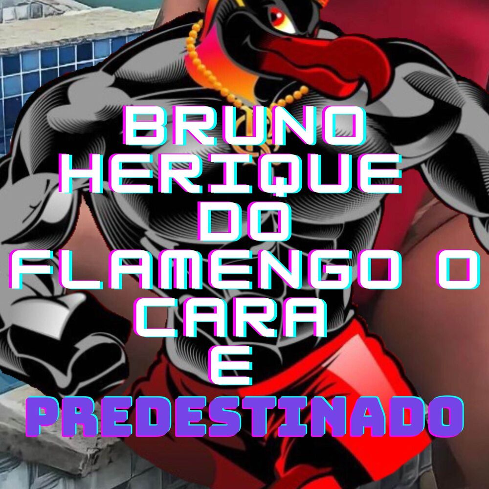 Picture of BRUNO HENRIQUE DO FLAMENGO E O CARA PREDESTINADO