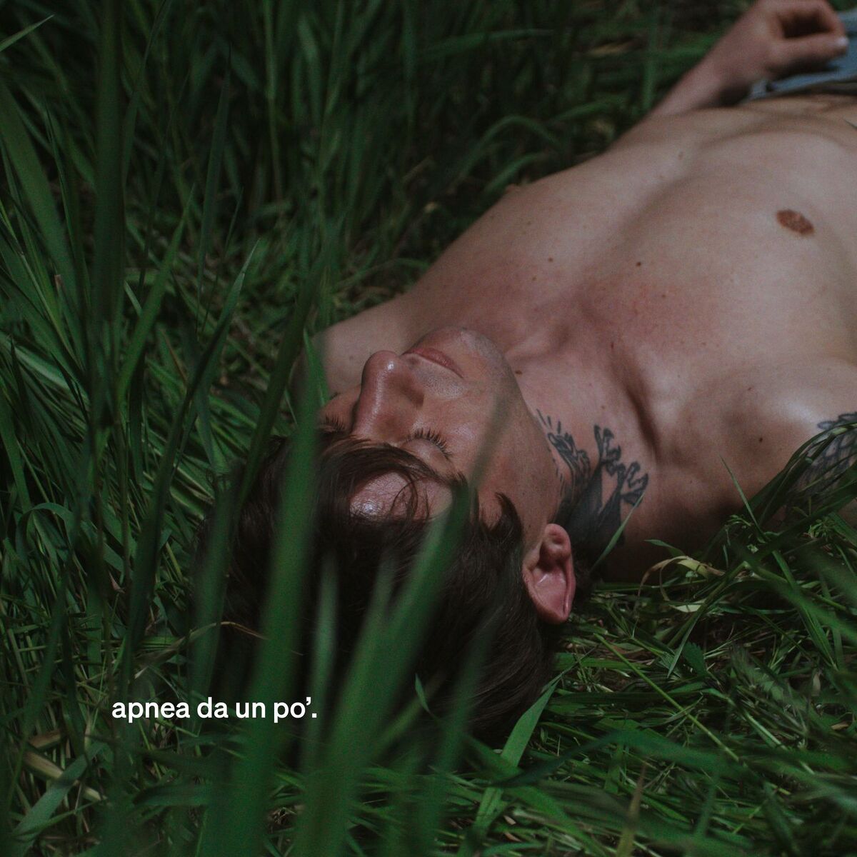 Album cover of apnea da un po'.