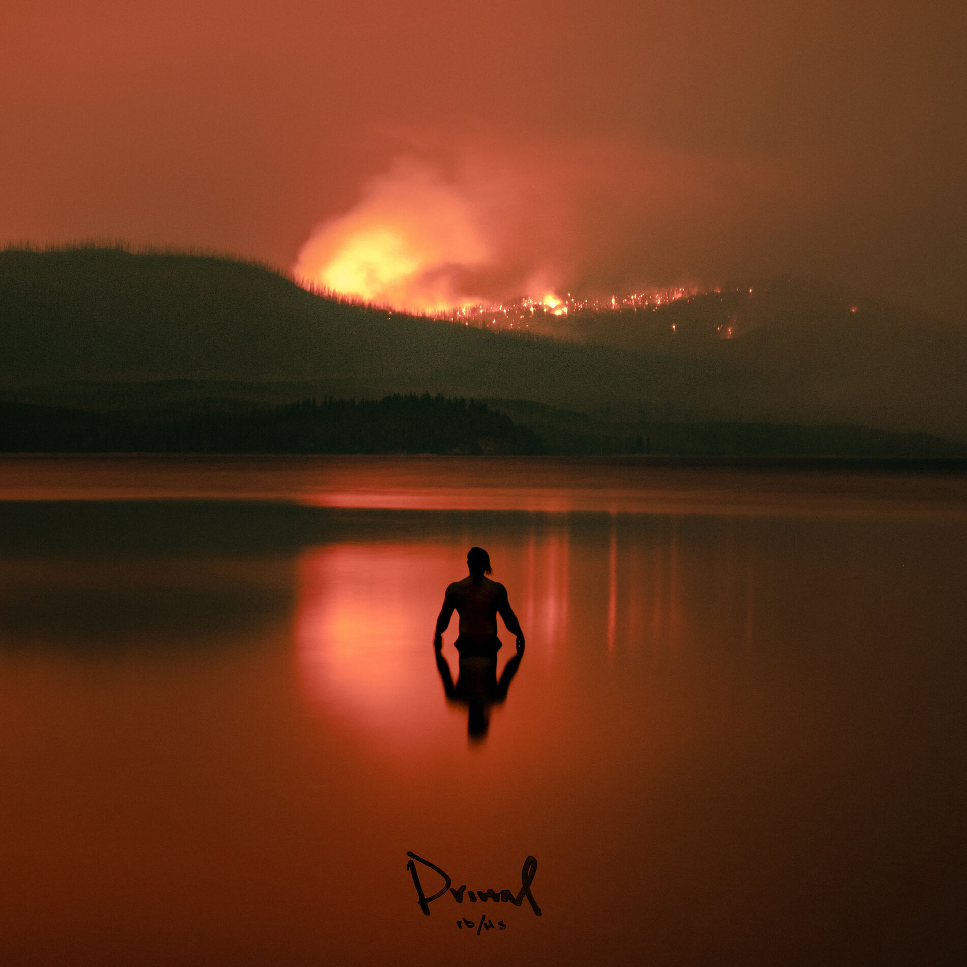 Album cover of Primal