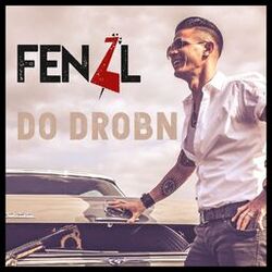 Cover of Do drobn