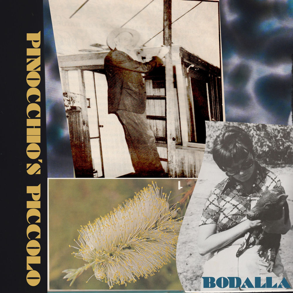 Album artwork for Pinocchio's piccolo by Bodalla