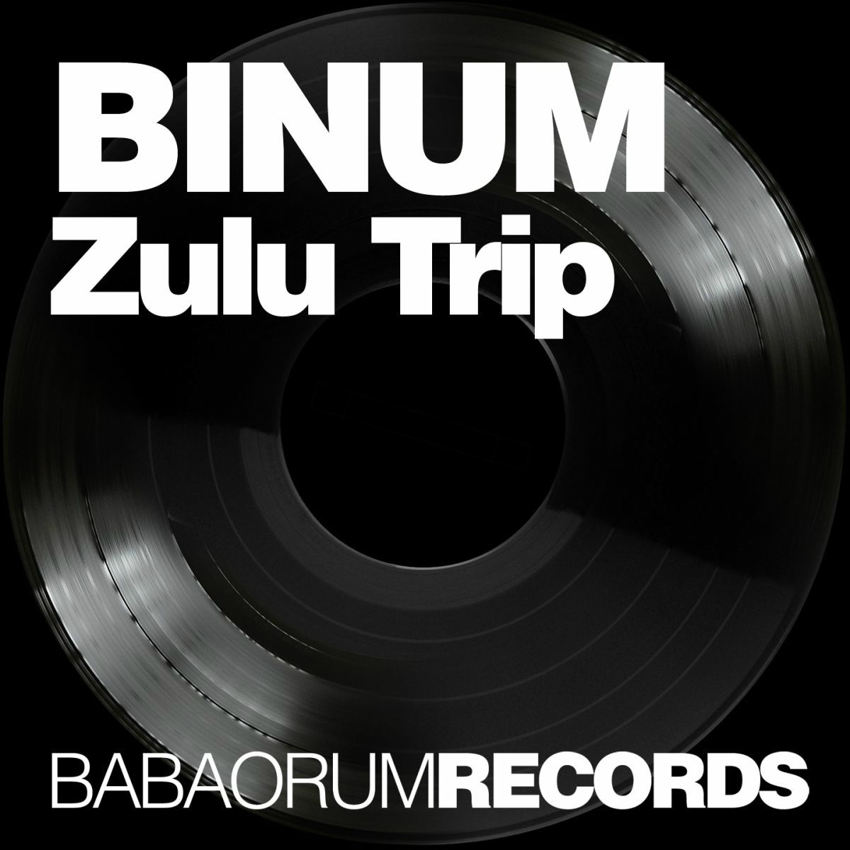 Album cover of Zulu Trip
