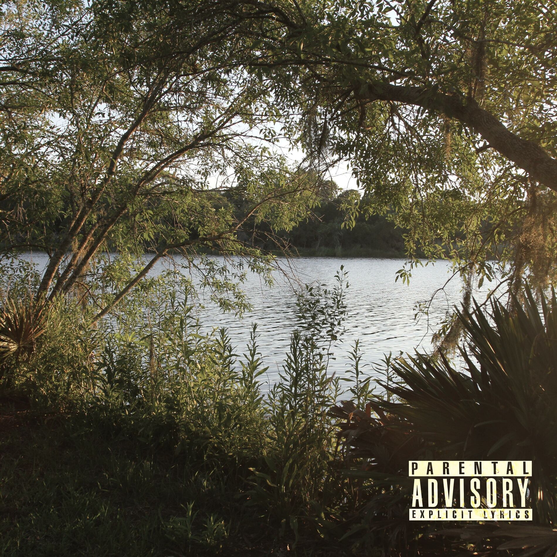 Album cover of A Tough Act To Follow