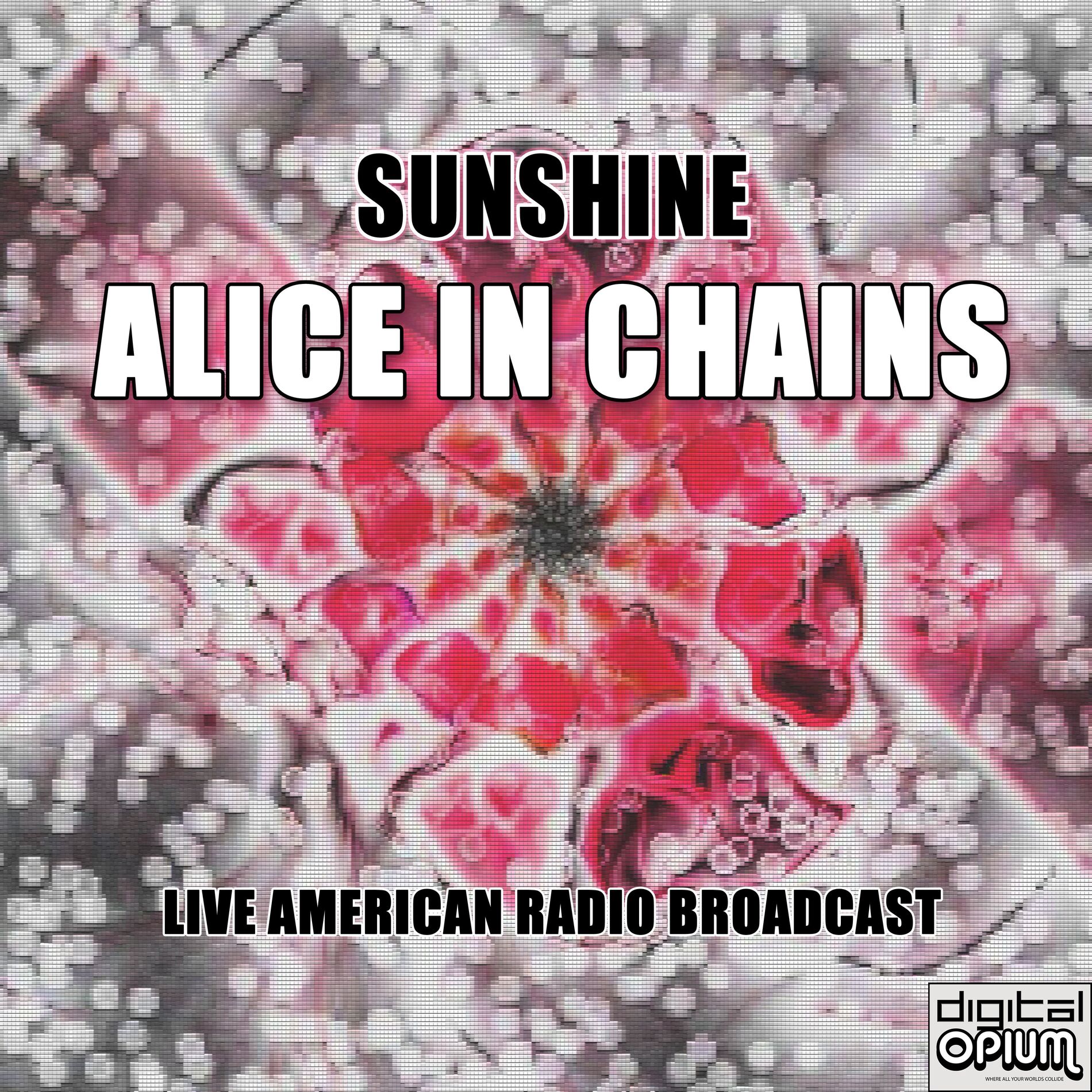 Album cover of Sunshine (Live)