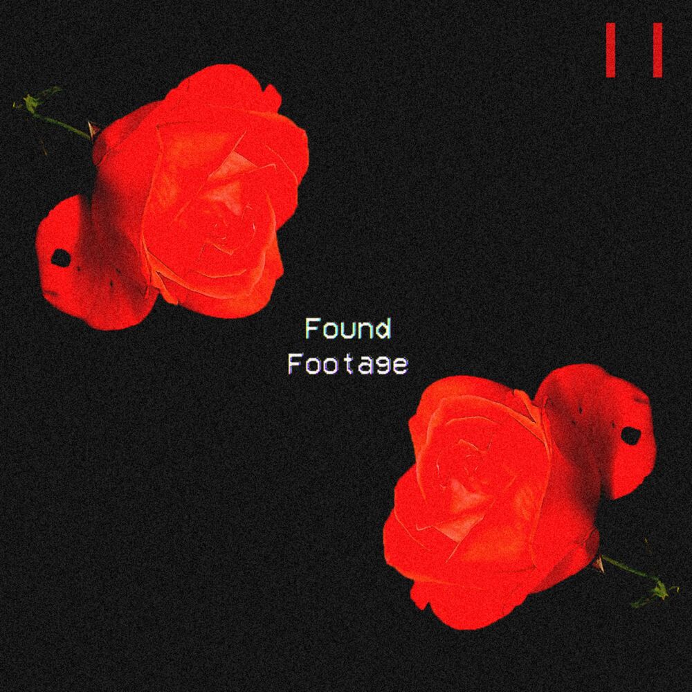 Picture of Found Footage