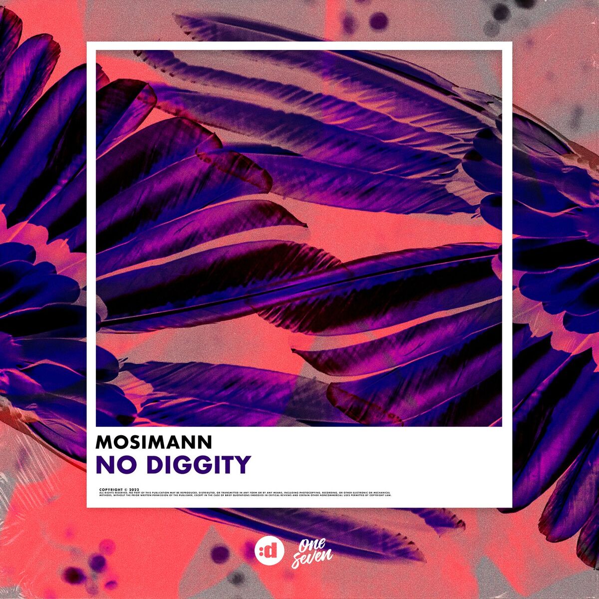 Album cover of No Diggity