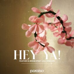 Cover of Hey Ya! (feat. Lilli Köhler)