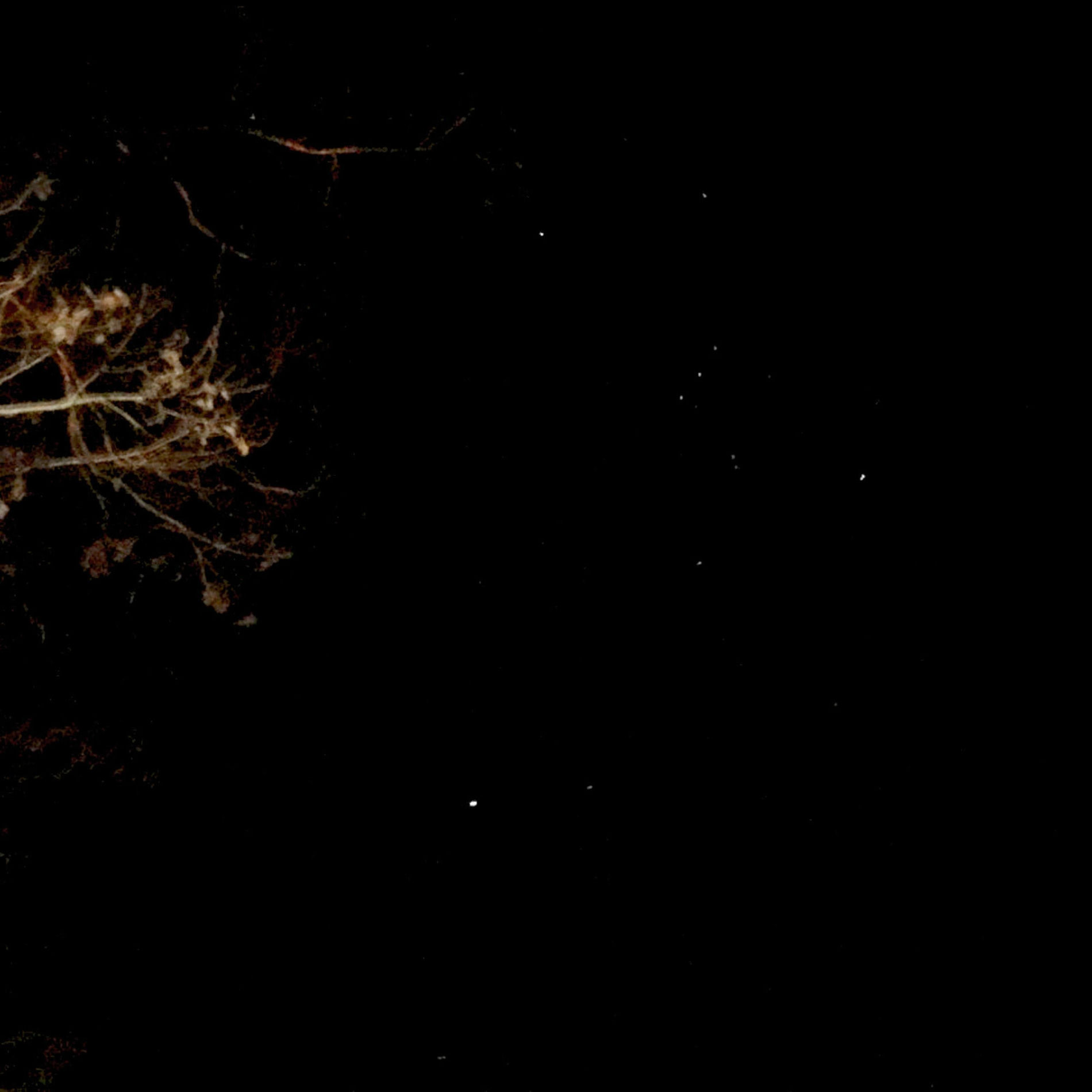 Album cover of Stargazer