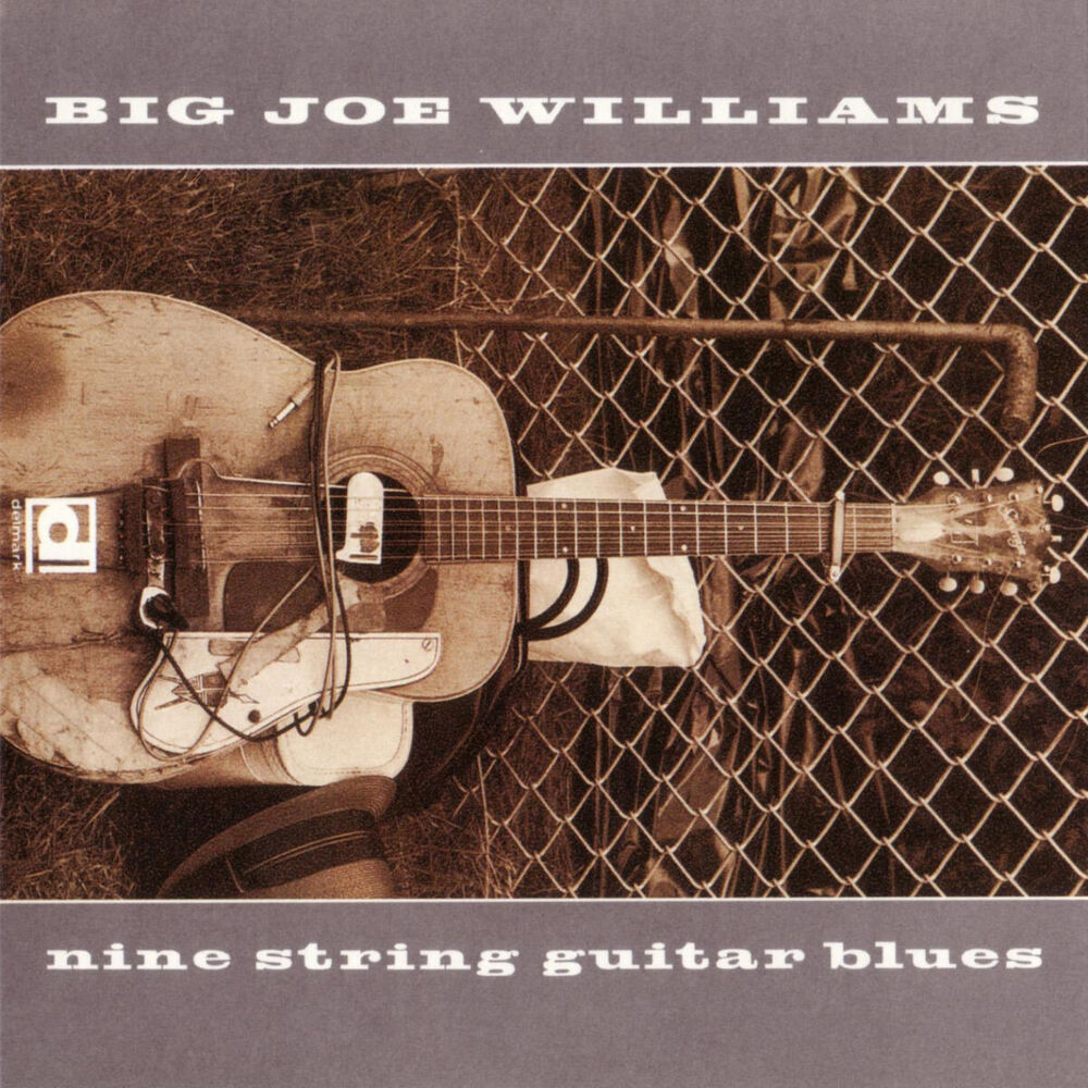 Picture of Nine String Guitar Blues