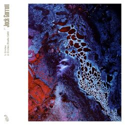 Cover of Circles