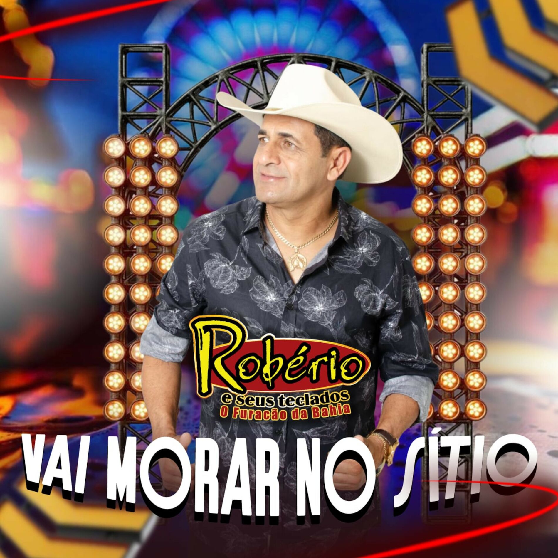 Album cover of Vai Morar no Sítio