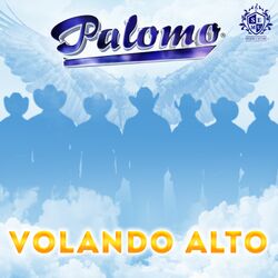 Cover of Volando Alto