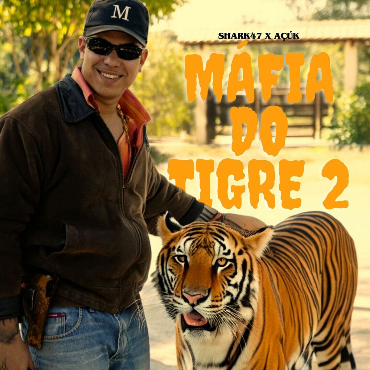 Album cover of Máfia do Tigre 2