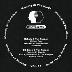 Cover of Meeting Of The Minds Vol. 11