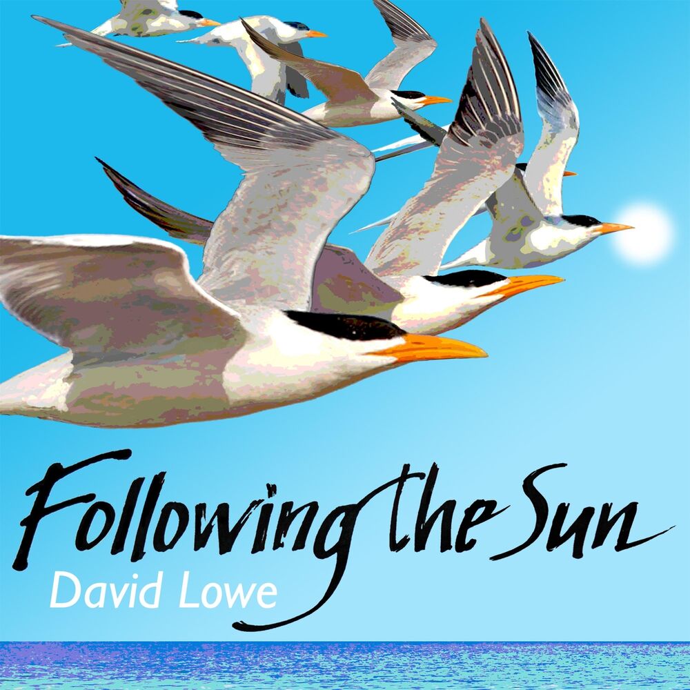 Picture of Following the Sun