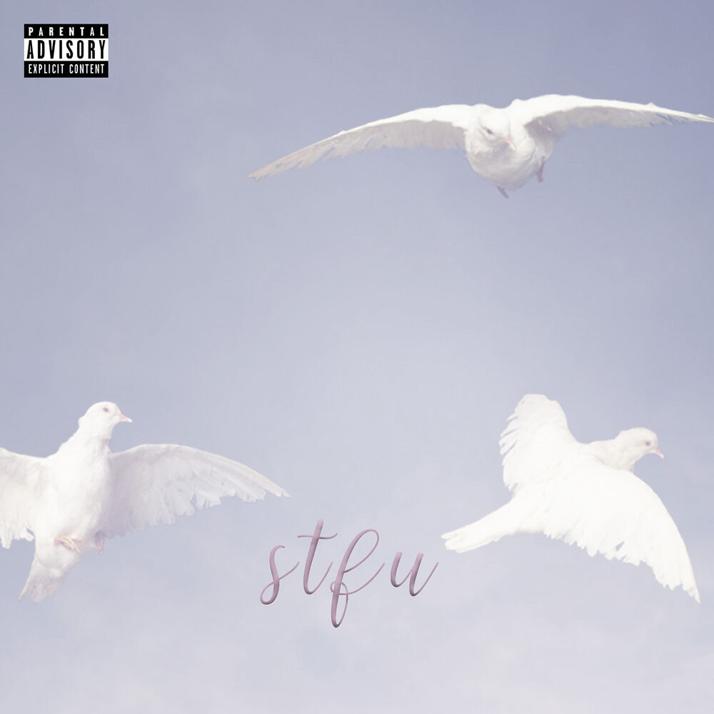 Picture of STFU