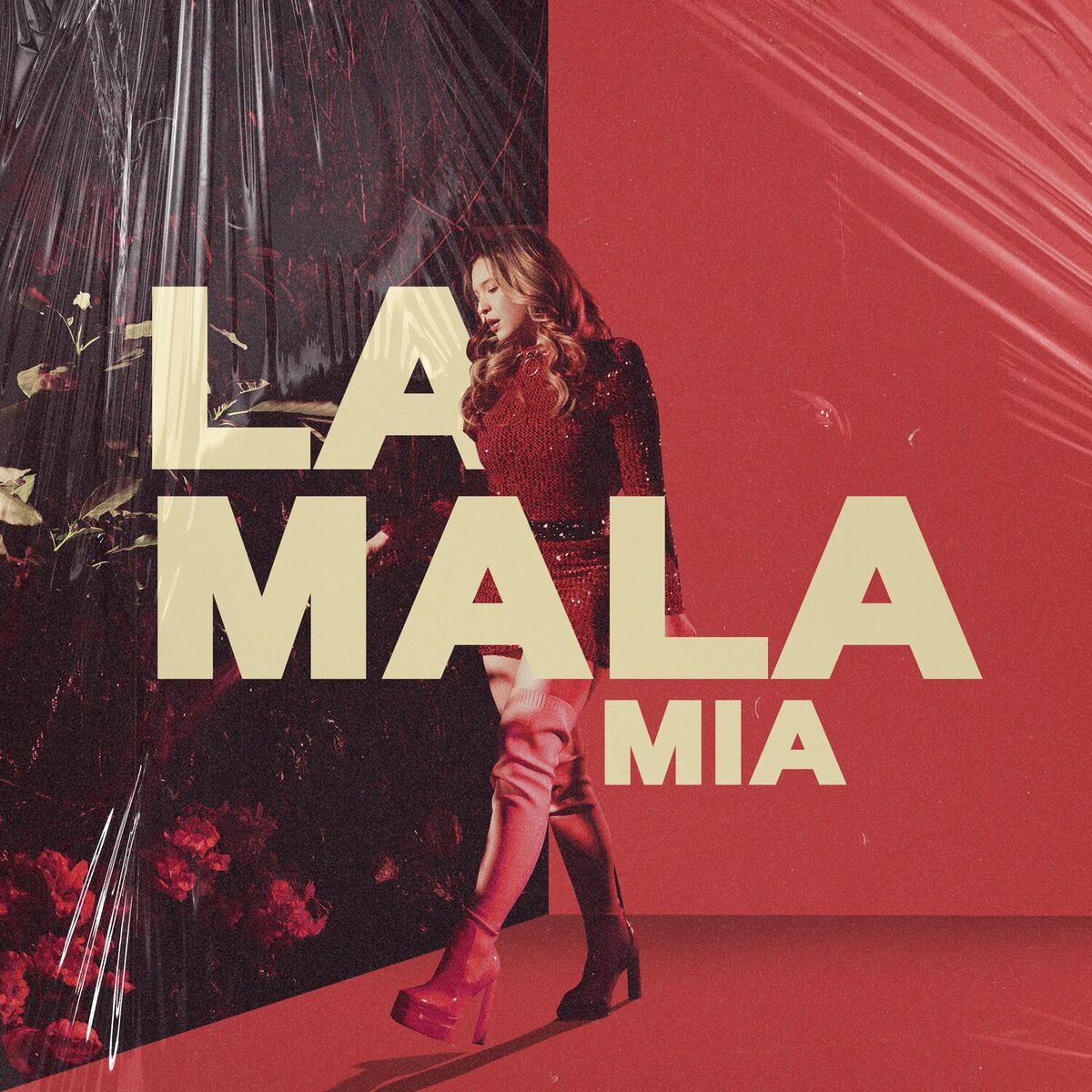 Album cover of La Mala