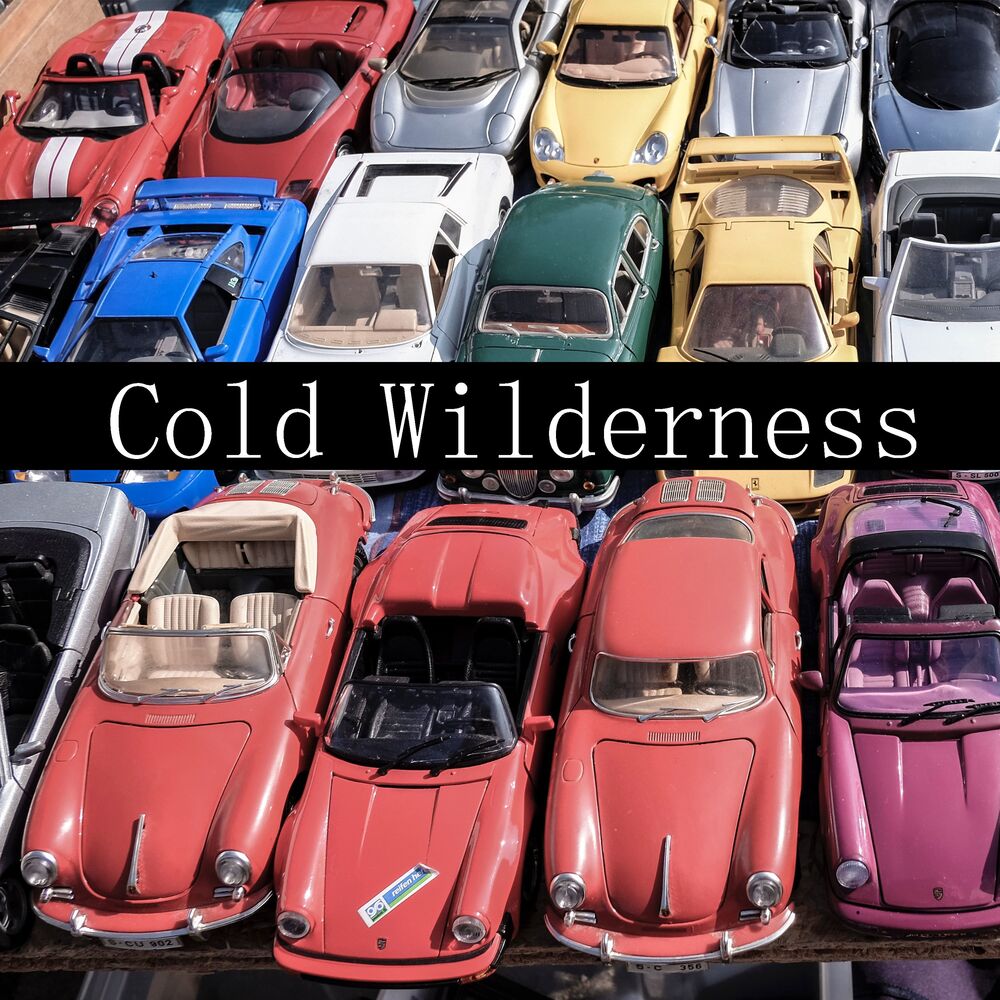 Picture of Cold Wilderness
