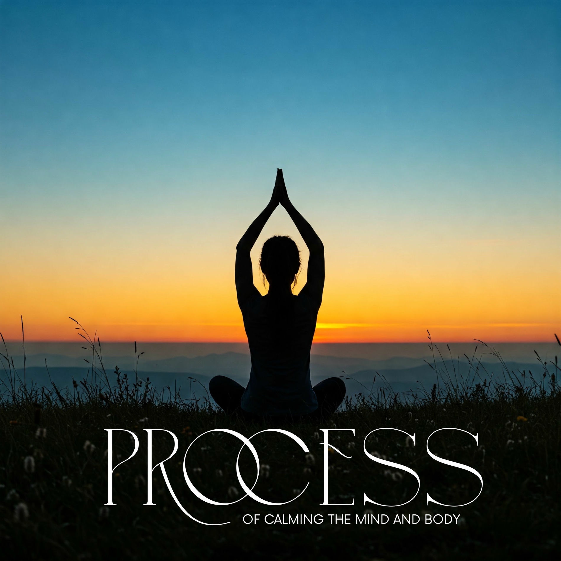 Album cover of Process of Calming the Mind and Body