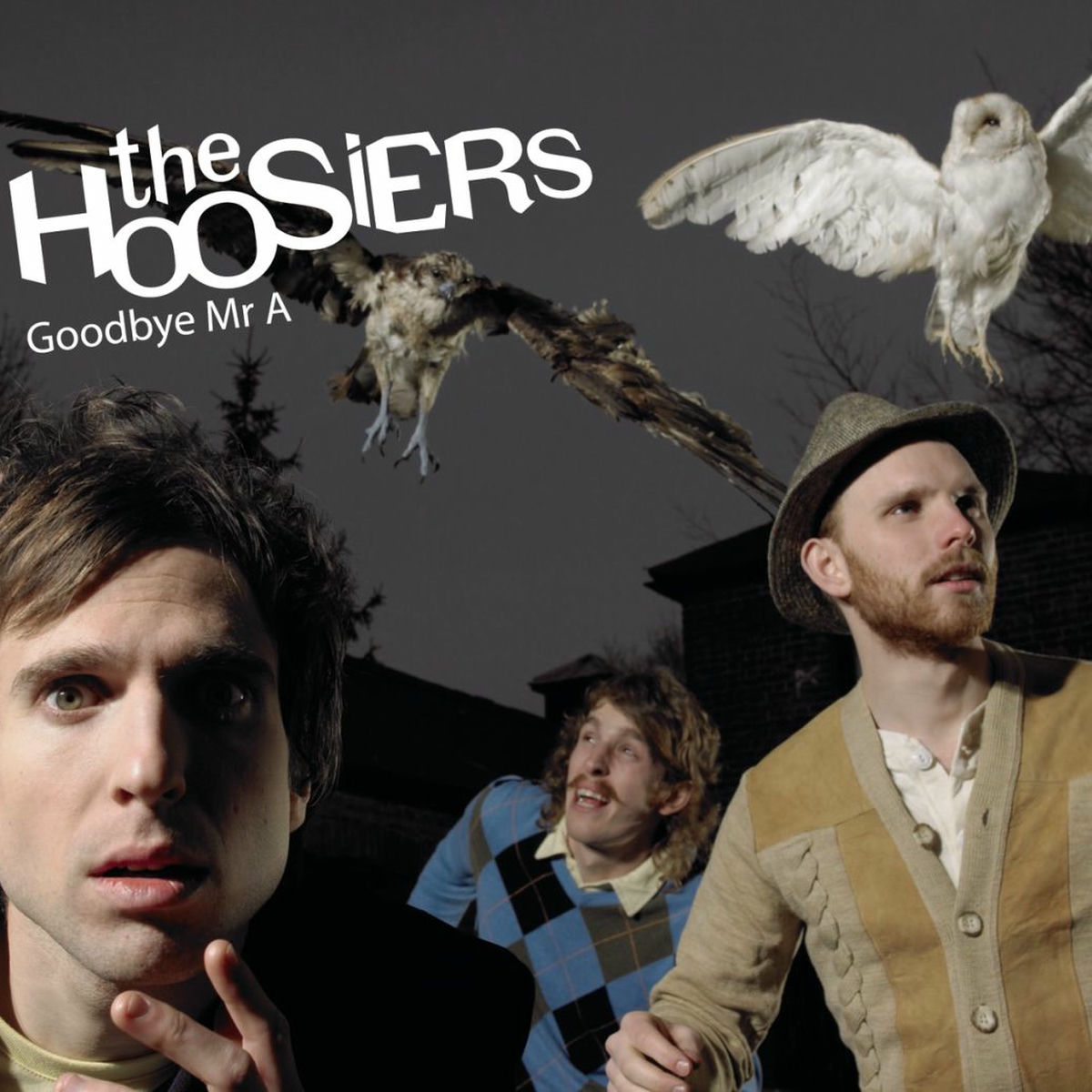 Album cover of Goodbye Mr A