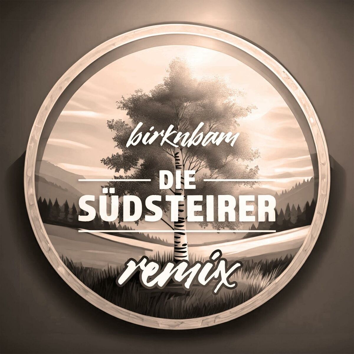 Album cover of Birknbam (Raphael Maier Remix)
