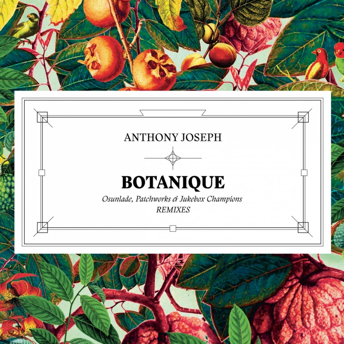 Album cover of Botanique