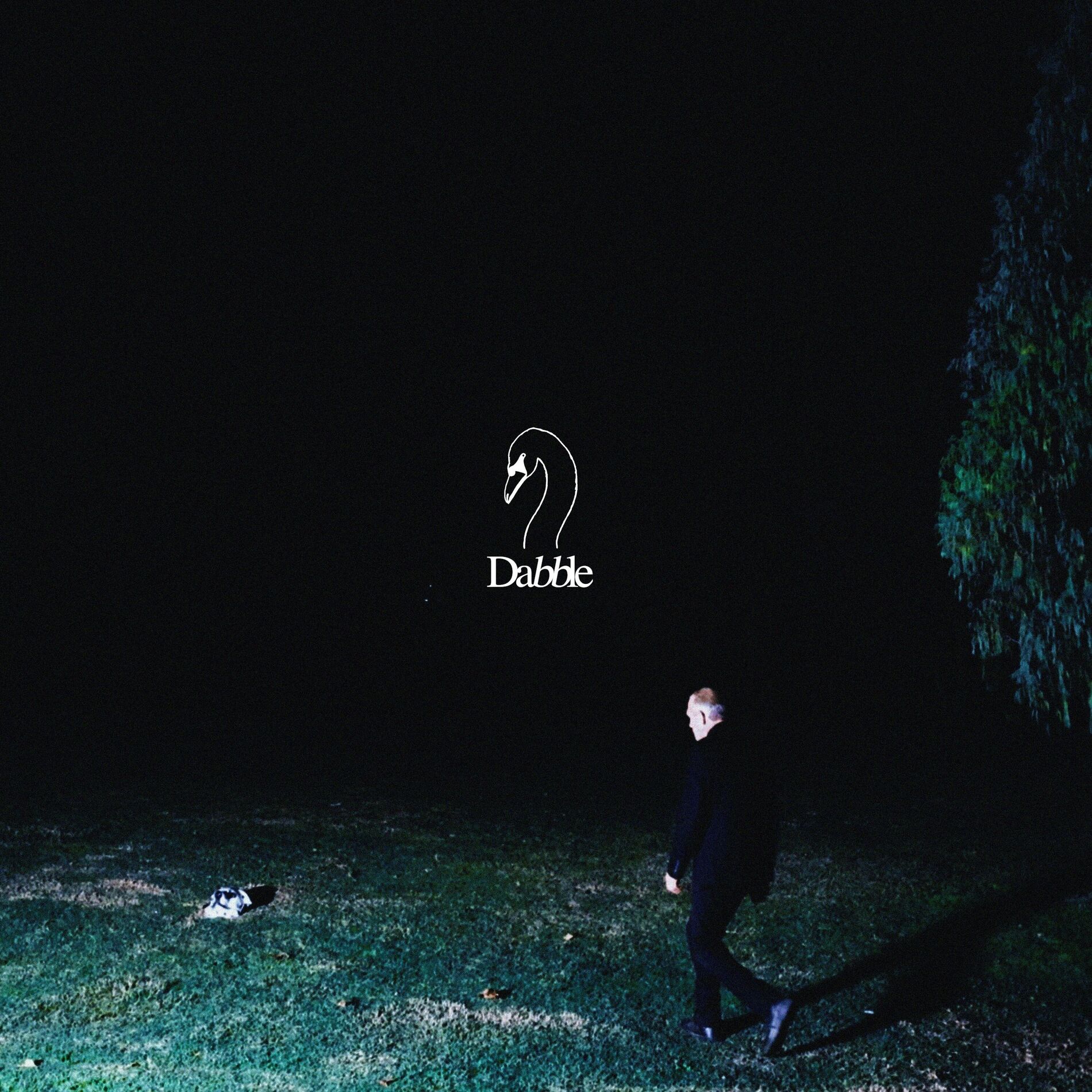 Album cover of Dabble