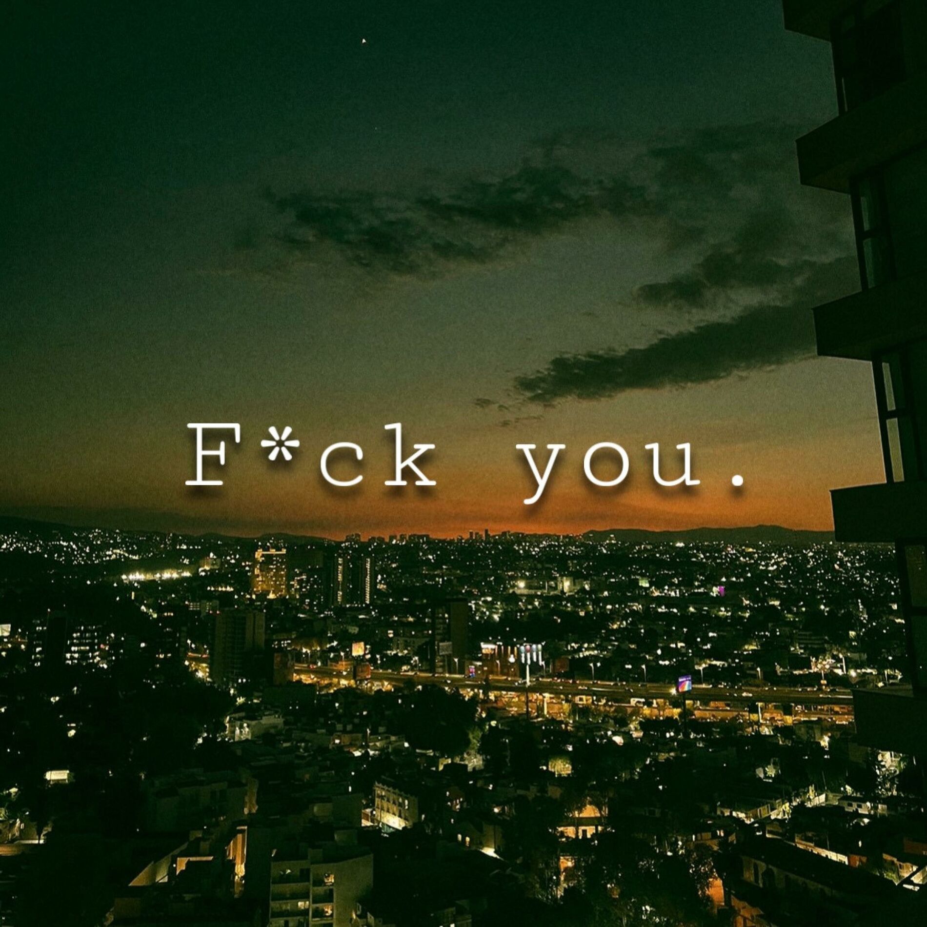 Album cover of Fuck you