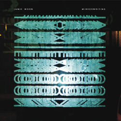 Cover of Mirrorwriting