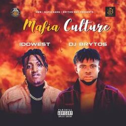 Cover of Mafia Culture