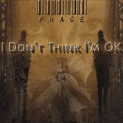 Cover of I Don't Think I'm OK