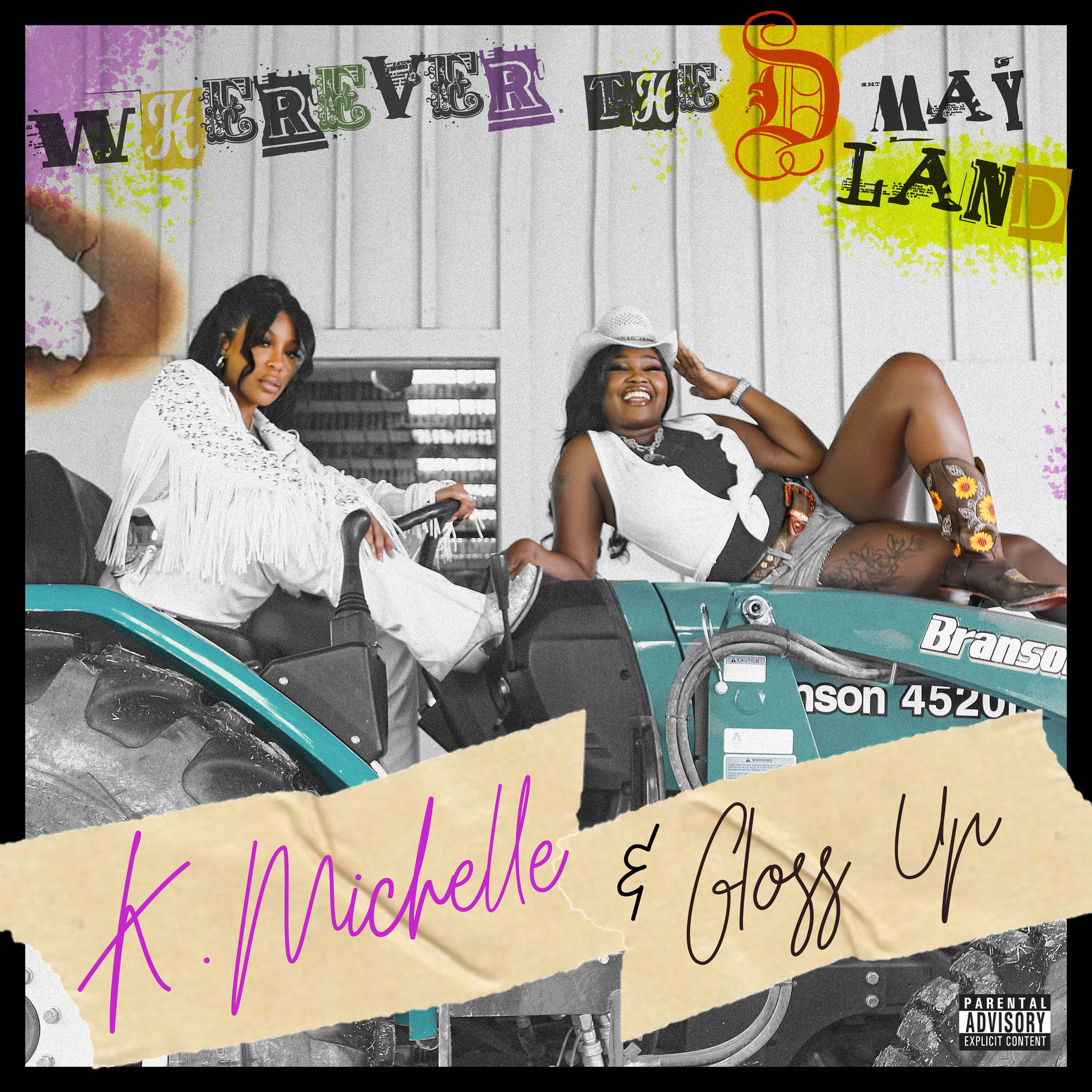 Album cover of Wherever The D May Land