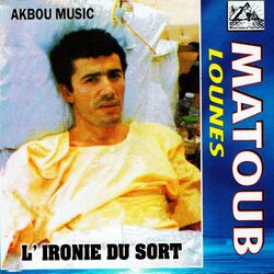 Cover of L'ironie Du Sort