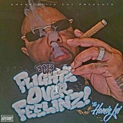 Cover of FLIGHTZ OVER FEELINZ!