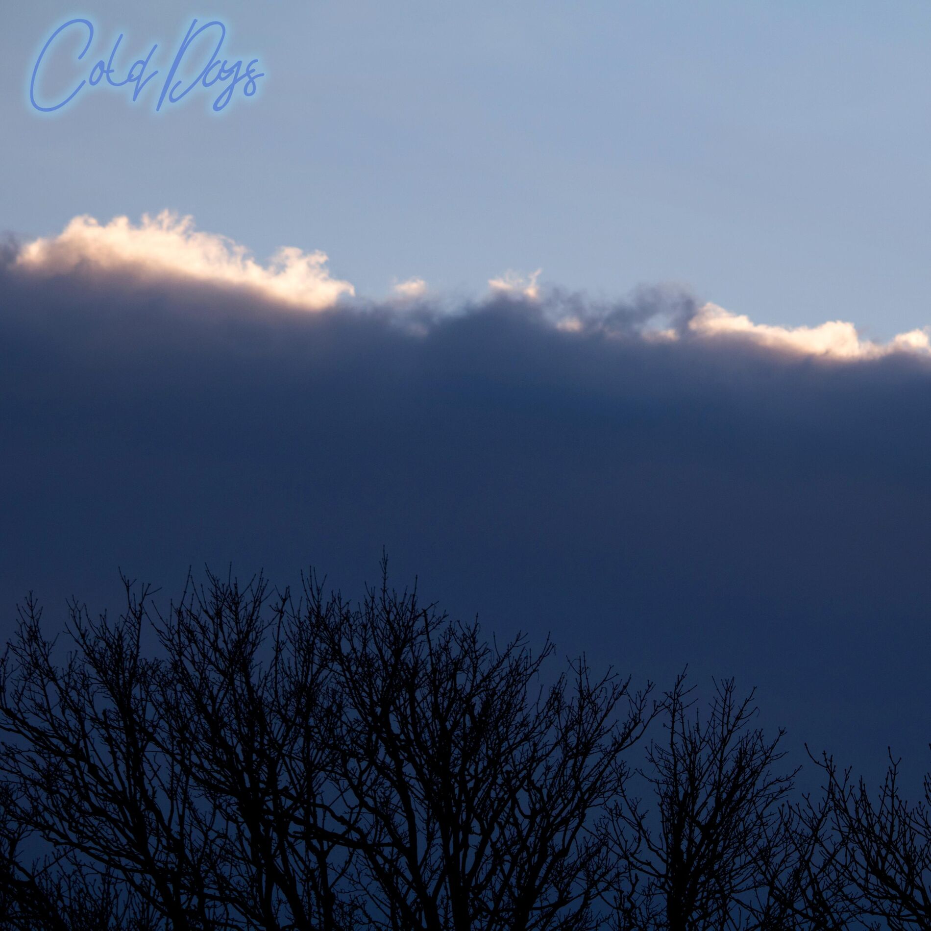 Album cover of Cold Days