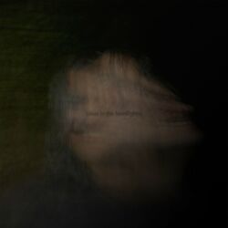 Cover of deer in the headlights