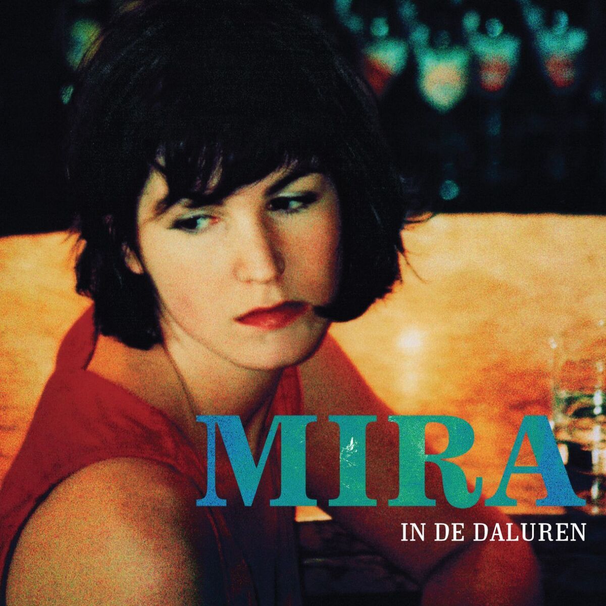 Album cover of In De Daluren