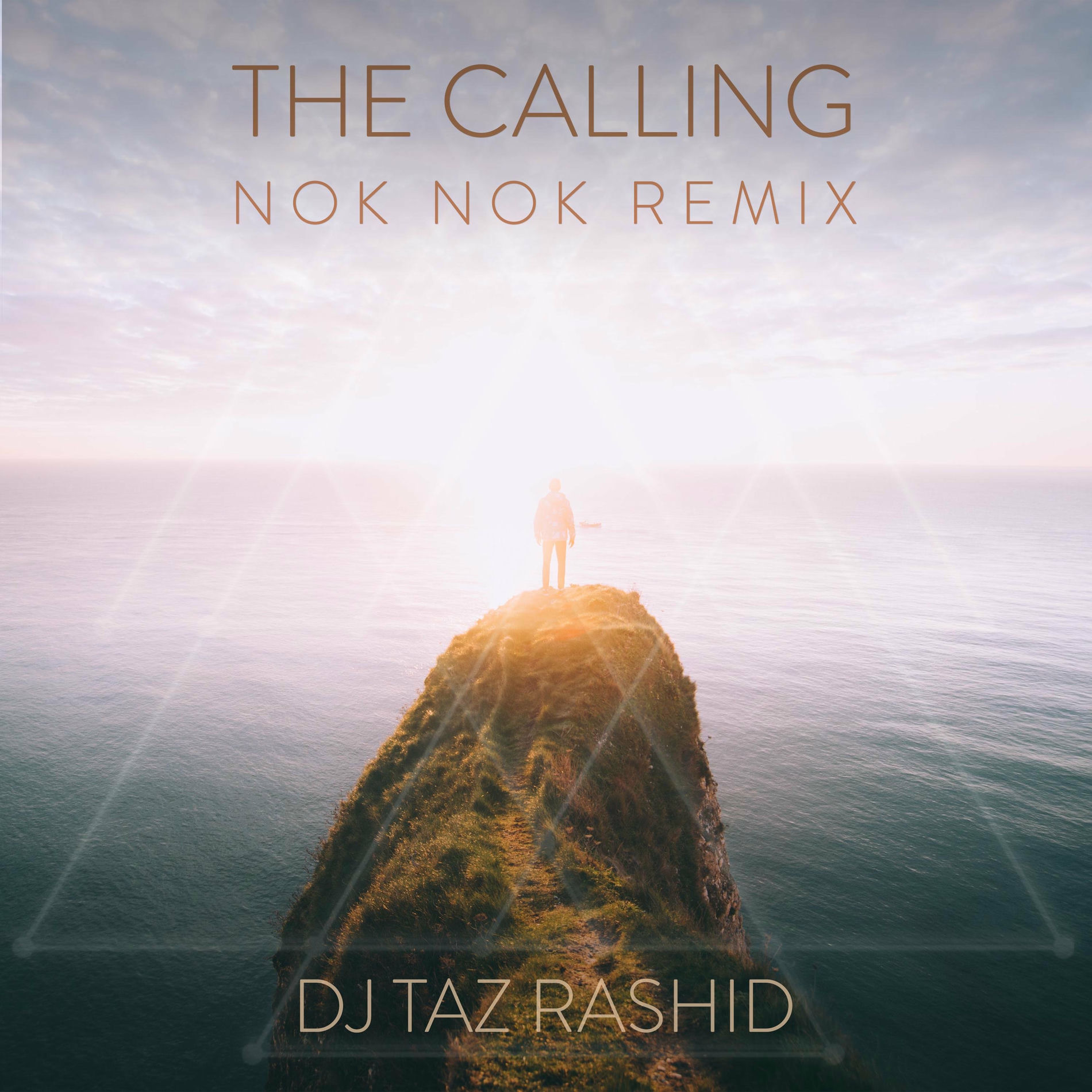 Album cover of The Calling (feat. nok nok)