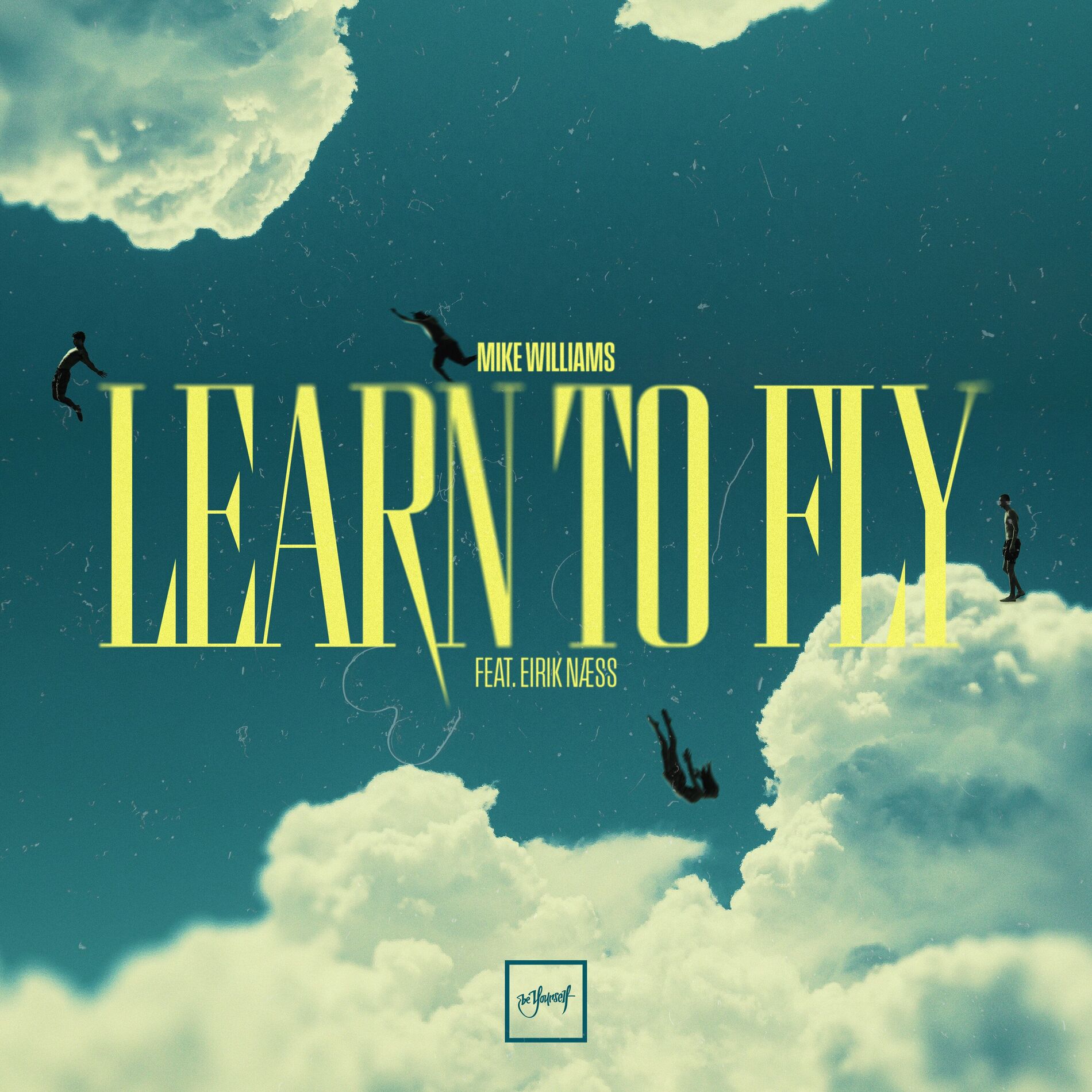 Album cover of Learn To Fly