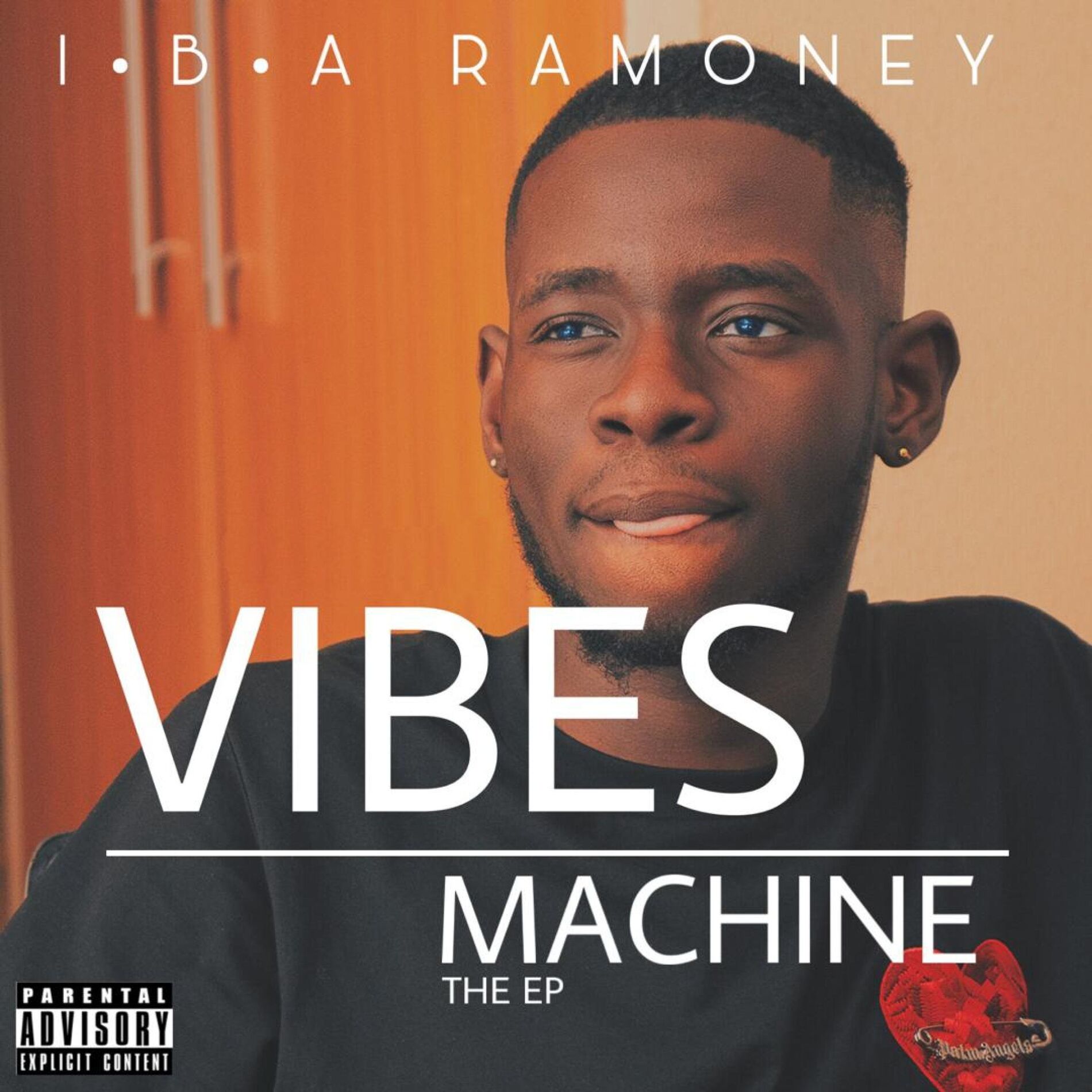 Album cover of Vibes Machine