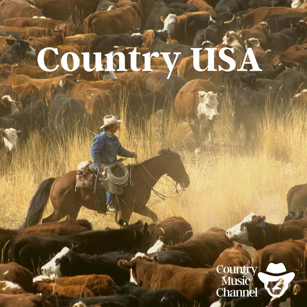 Picture of Country USA (Wild Western Country, American Music)