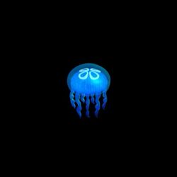 Cover of Introezy