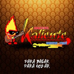 Cover of Para Bailar para Gozar