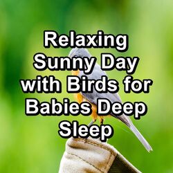 Cover of Relaxing Sunny Day with Birds for Babies Deep Sleep