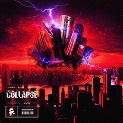 Cover of Collapse