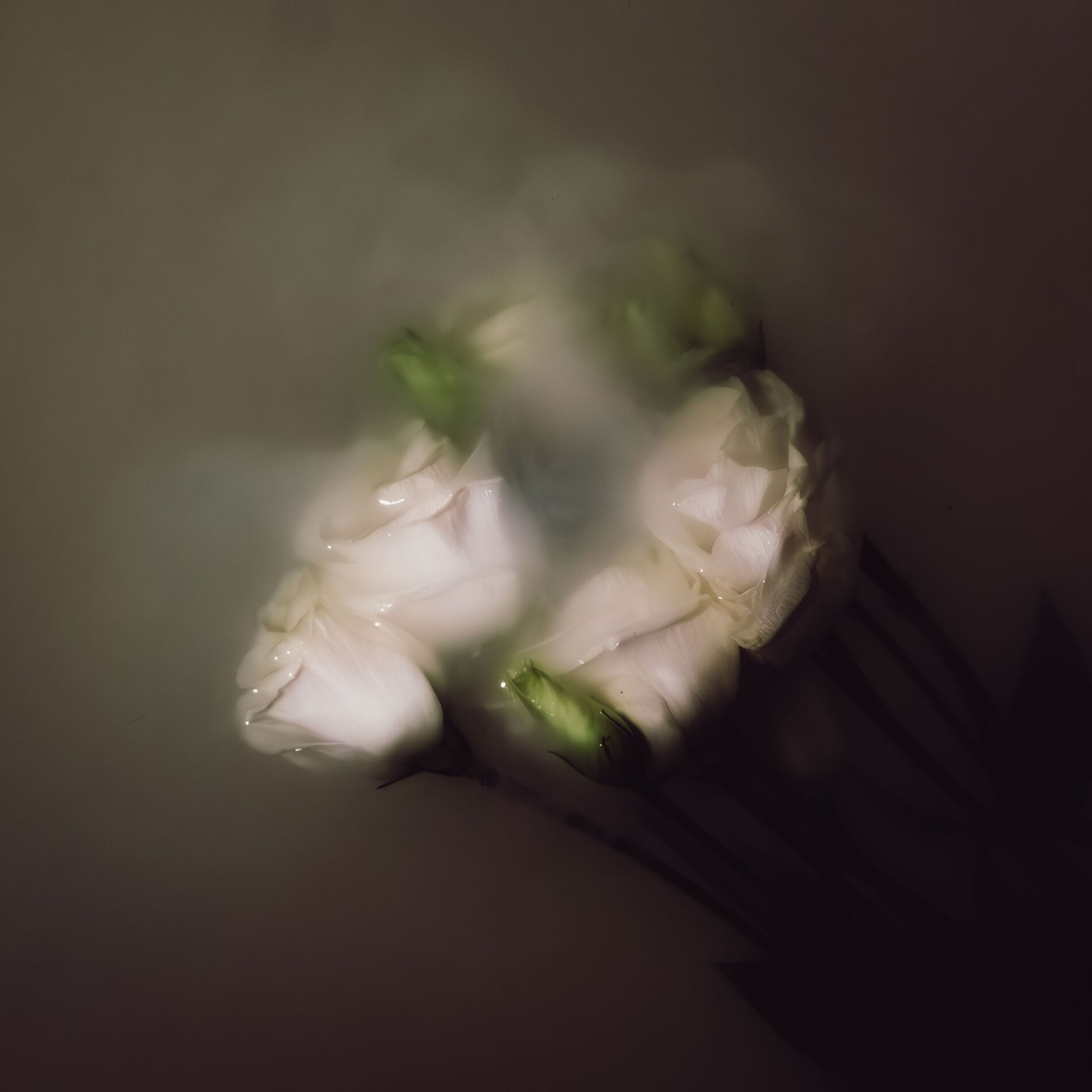 Album cover of Zenith