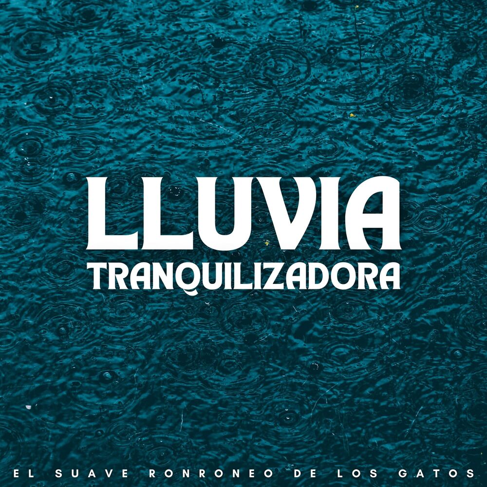 Picture of Lluvia Tranquilizadora: El Suave Ronroneo De Los Gatos