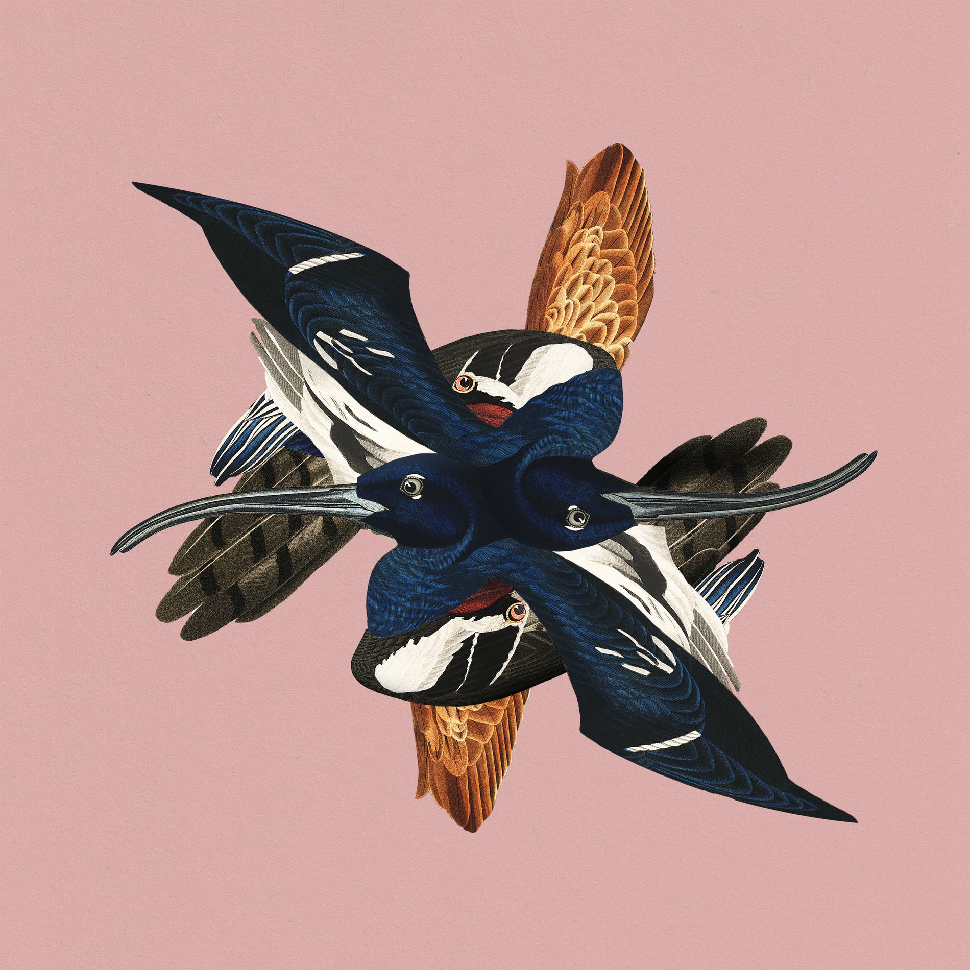 Album cover of London. Paris. Berlin.