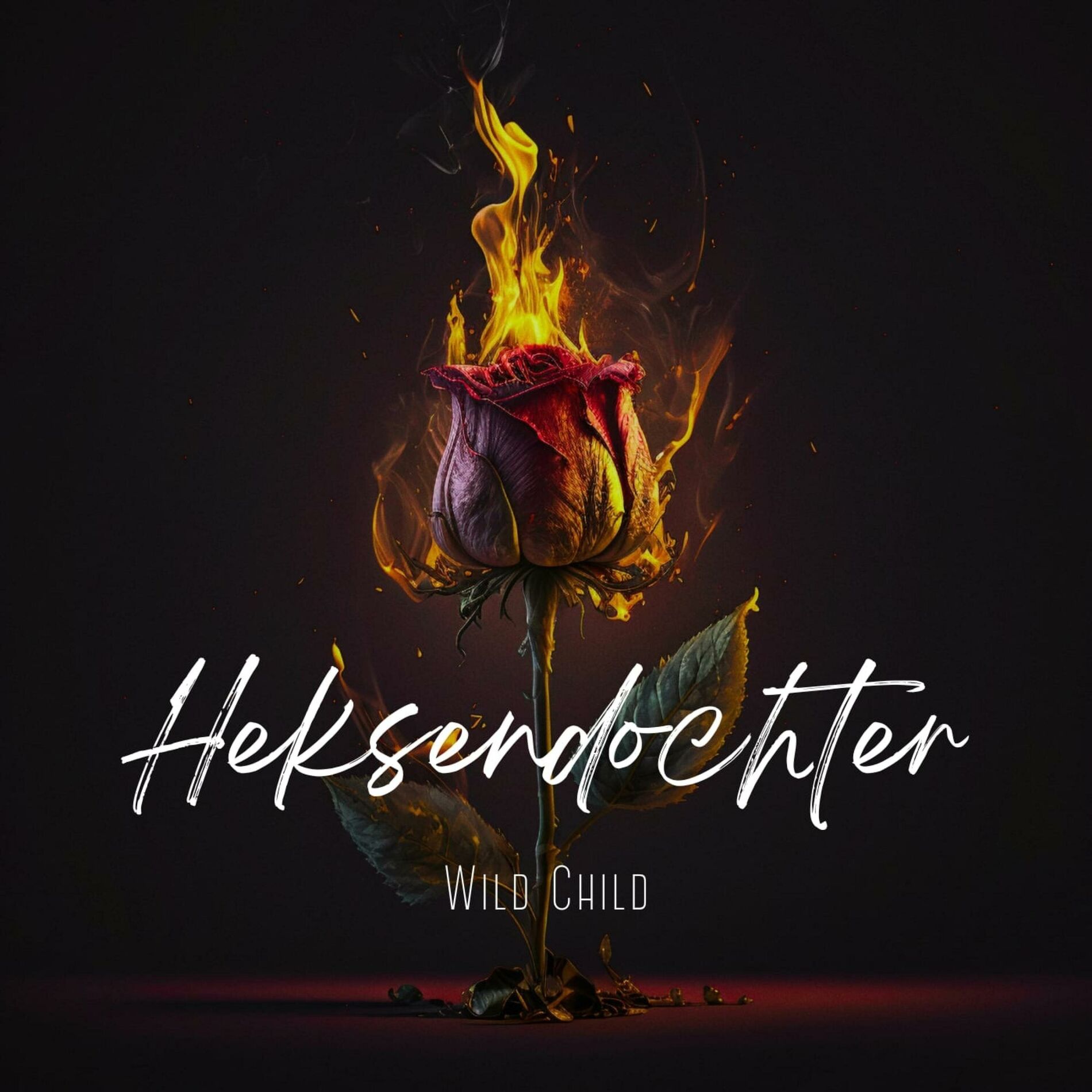 Album cover of Heksendochter (Radio Edit)